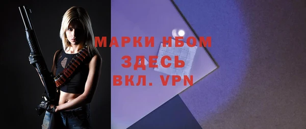 шишки Алзамай
